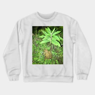 Toad Plants Crewneck Sweatshirt